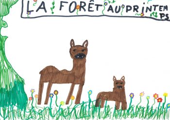 Dessin de Coline