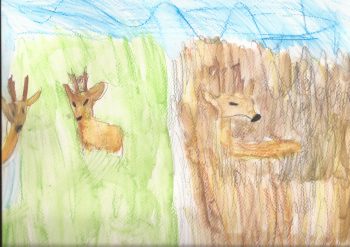 Dessin de Marin