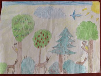 Dessin de Marjane