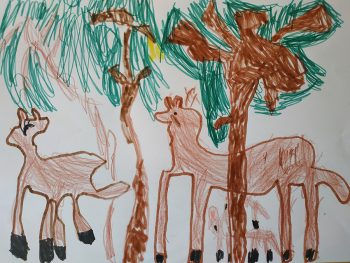 Dessin de Lucile