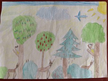 Dessin de Marjane