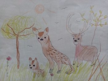 Dessin de Nayana