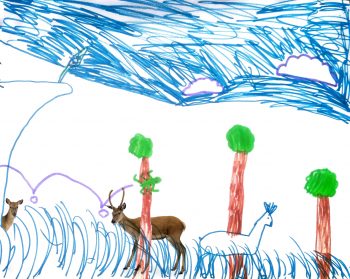 Dessin de Robin