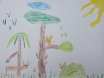 Dessin de Zélie
