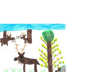 Dessin de Mattys