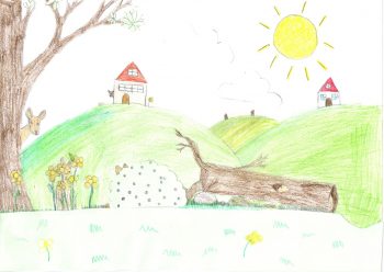 Dessin de ema