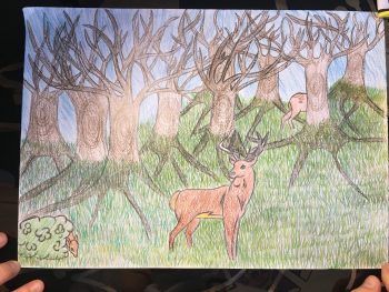 Dessin de Maxence