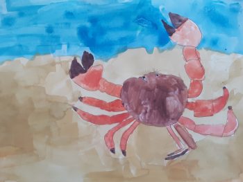 Dessin de Timothée 
