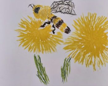 Dessin de Bilal 