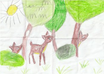 Dessin de Corentin