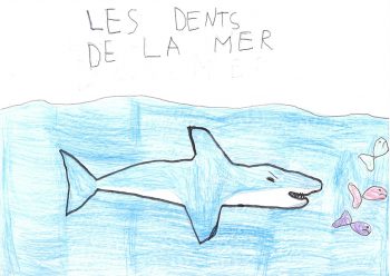 Dessin de Basile