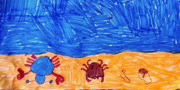 Dessin de Capucine
