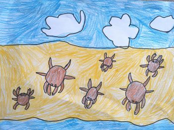 Dessin de Colline