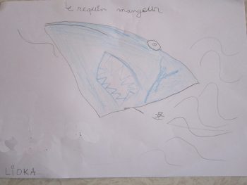 Dessin de Lioka