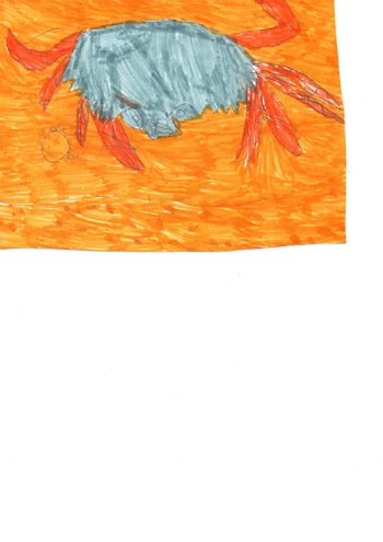 Dessin de Rose