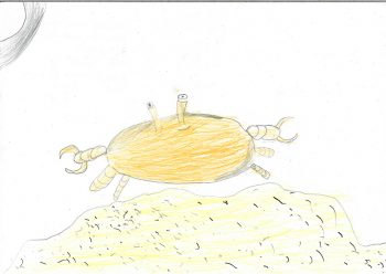 Dessin de Alves