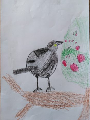 Dessin de Tiphaine