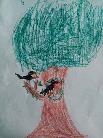 Dessin de Noé