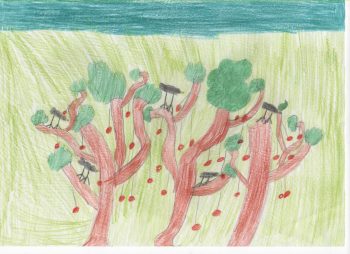 Dessin de Ambre