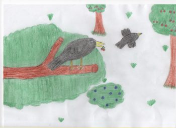 Dessin de Sandra