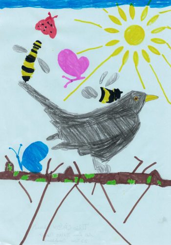 Dessin de Tilio
