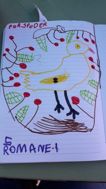 Dessin de Romane