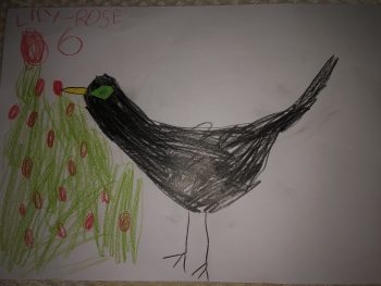 Dessin de Lily-Rose