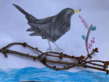 Dessin de Louanne