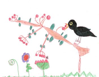 Dessin de Aidan