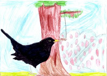 Dessin de Ambre