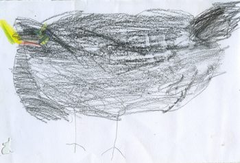 Dessin de Amé