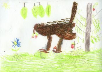 Dessin de Andrew