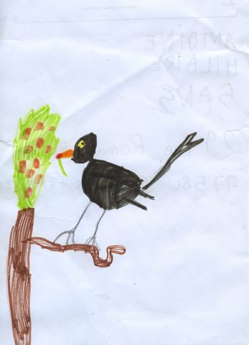 Dessin de Antoine
