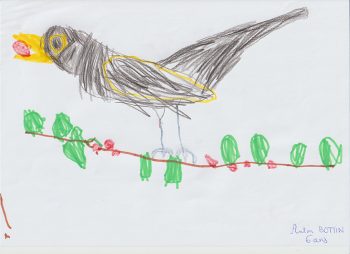 Dessin de Anton