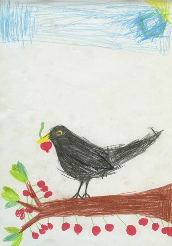 Dessin de Capucine