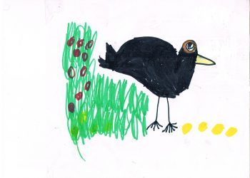 Dessin de Ciaran