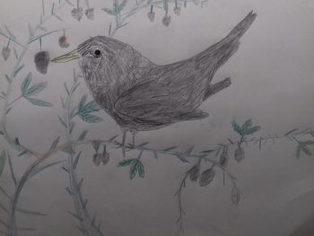 Dessin de Eva