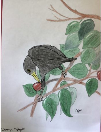 Dessin de Dounya
