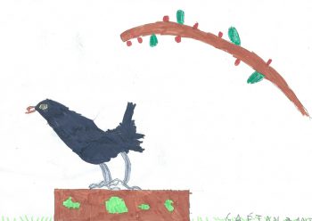 Dessin de Gaétan
