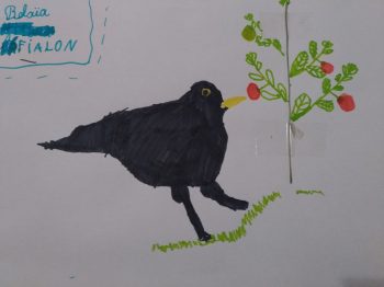 Dessin de Bélaïa