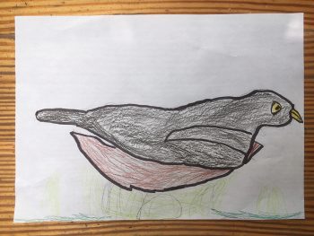 Dessin de Léo
