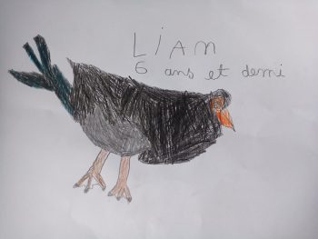 Dessin de Liam