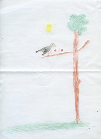 Dessin de Louis
