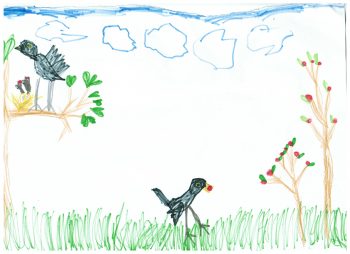 Dessin de Maxime