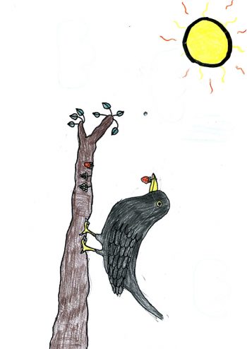 Dessin de Ozvan