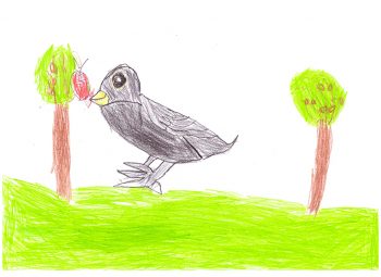 Dessin de Robin