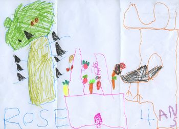 Dessin de Rose