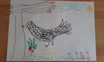 Dessin de Rose