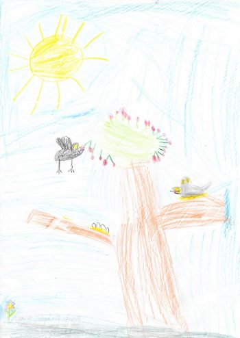 Dessin de Robin