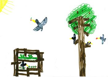Dessin de Thomas